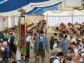 2014GaufestFreitag099